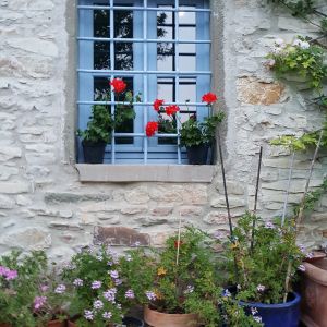 YOUR_RETREAT_12_window